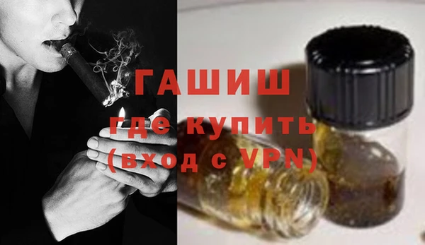 индика Абаза