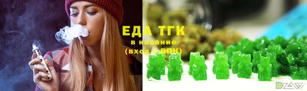 индика Абаза