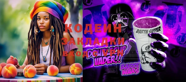 индика Абаза