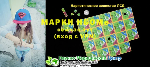 индика Абаза