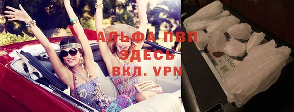 индика Абаза