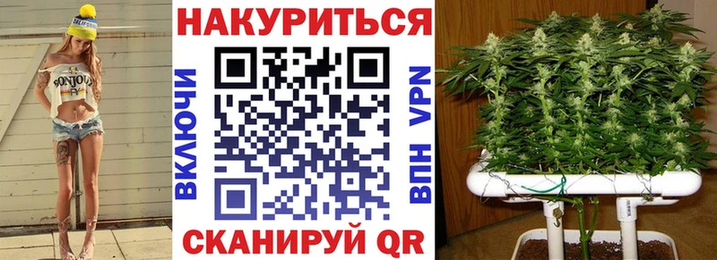 дарк нет наркотические препараты  Сафоново  Бошки марихуана SATIVA & INDICA 